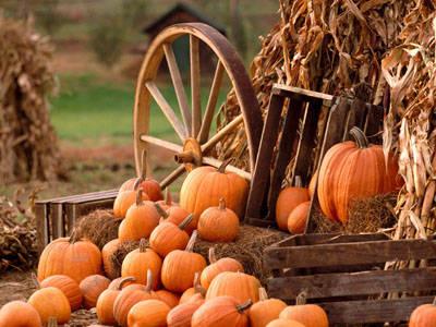 FESTA D´AUTUNNO E......HALLOWEEN