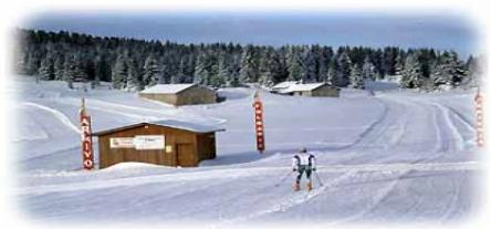 GITA SULLA NEVE FONDO PICCOLO