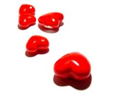 Fiera di San Valentino a Bussolengo