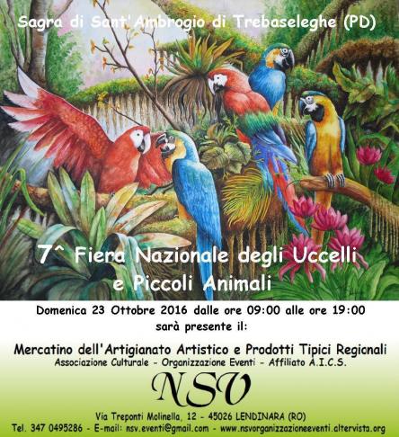 Mercatino della 7^ Fiera degli Uccelli