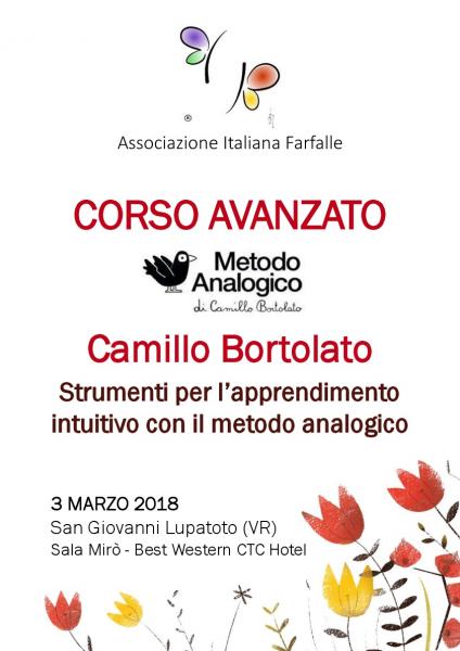 Strumenti per l'apprendimento intuitivo con il metodo analogico - Corso avanzato