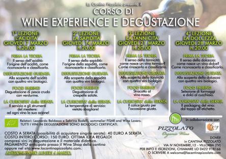Corso di Wine Experience