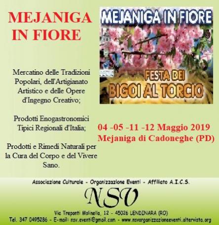 Mejaniga in Fiore