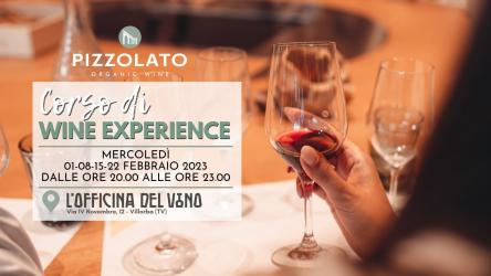 CORSO DI WINE EXPERIENCE: Avvicinamento al Vino