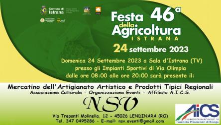Mercatino della 46^ Festa della Agricoltura