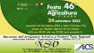 Mercatino della 46^ Festa della Agricoltura
